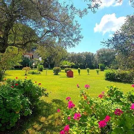 Chloe's Garden *